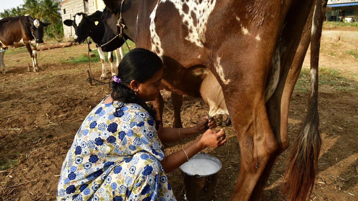 10 lakh litres a day: Women SHGs lead dairy push in 31 UP districts